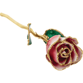 24K Solid Gold Rose- White and Red